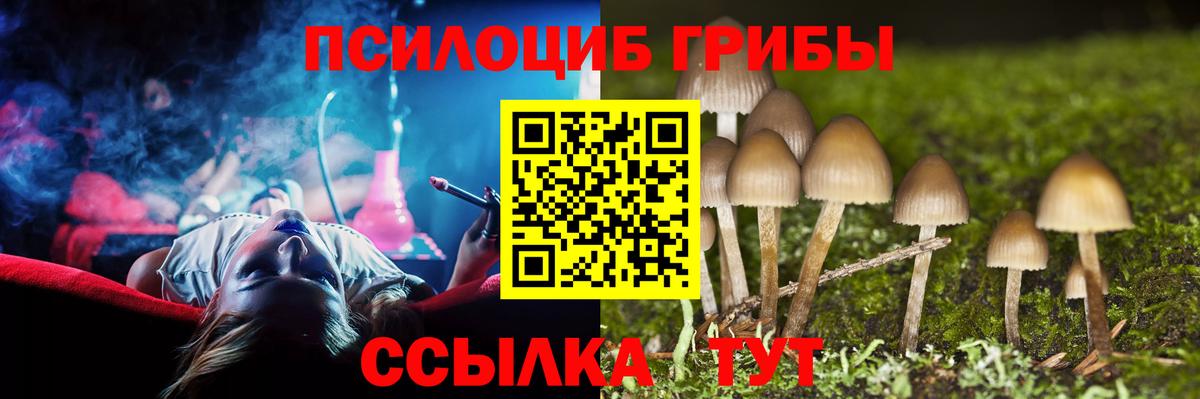 Галлюциногенные грибы мицелий Орёл