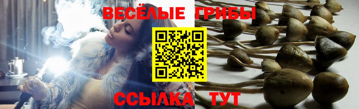 Орёл  Галлюциногенные грибы MAGIC MUSHROOMS  магазин  наркотиков  Вход с VPN 